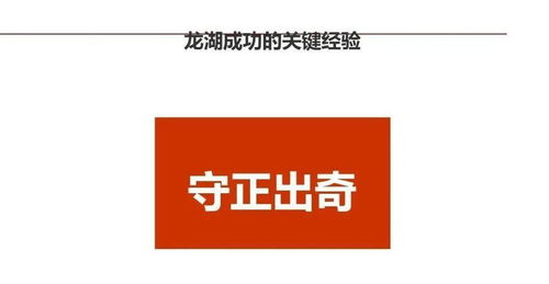 龍湖智慧 企業(yè)管理與運(yùn)營(yíng)精細(xì)化管理之道